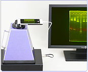 電気泳動ゲル小型の撮影・切り出し装置 Gel documentation system