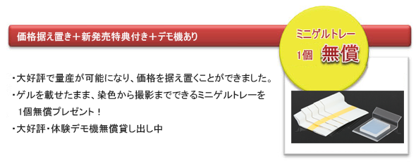 ゲルを乗せたまま染色から撮影ができるミニゲルトレー