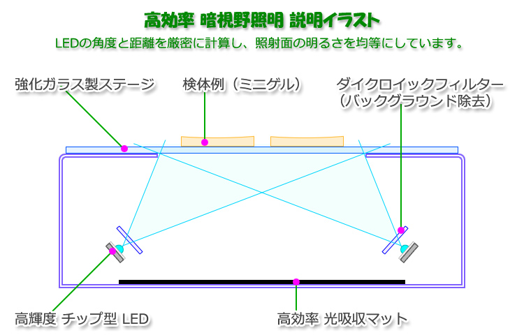 LEDトランスイルミネーター 透過暗視野照明方式の説明図　