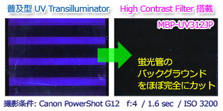 UV Transilluminator@uǂfȂ