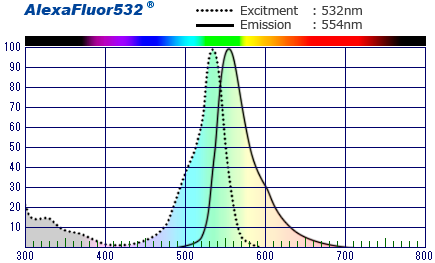 AlexaFluor532 Spectrum Nug@@