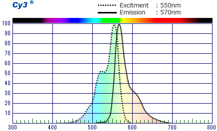 Cy3 Spectrum Nug 