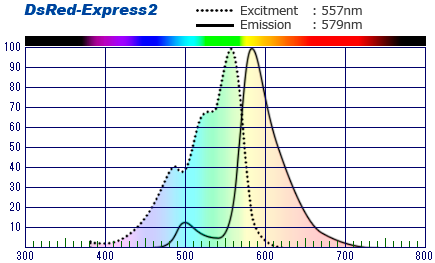 DsRed Express2 Spectrum Nug 