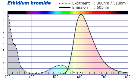 EtBr Spectrum Nug 