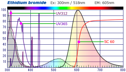 UVƃG`u@Spectrum Nug 