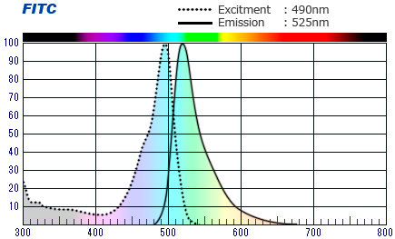 FITC Spectrum Nug 