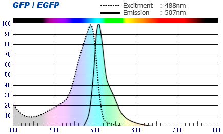 GFP EGFP Spectrum Nug 