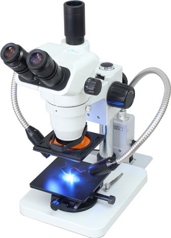 蛍光実体顕微鏡画像撮影・LEDアーム照明とフィルターシステム