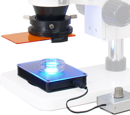 実体顕微鏡画像蛍光観察撮影システム・LED透過照明とフィルターシステム