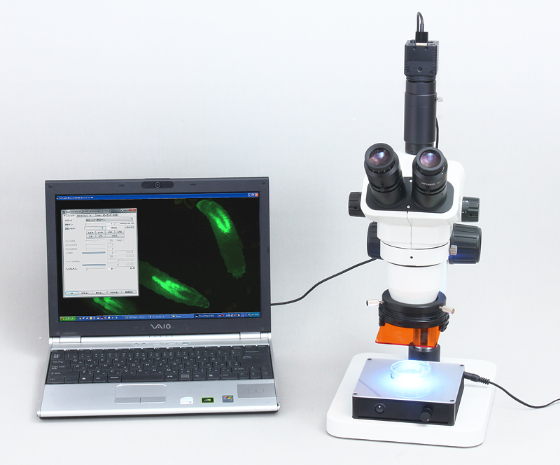 実体顕微鏡用・蛍光励起LED透過照明 | 技術通販 美舘イメージング
