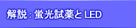 蛍光試薬 励起波長とLED光源 選び方