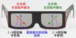 円偏光方式3D立体メガネ　　紙製　偏光軸