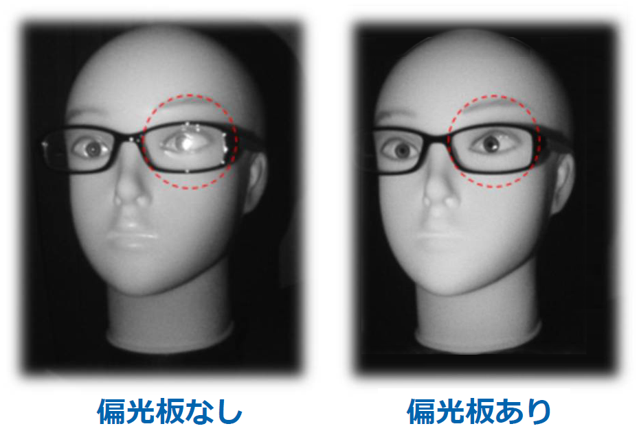 近赤外線偏光フィルムのドライバーモニター視線検出応用例