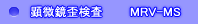 実体顕微鏡 偏光歪検査装置