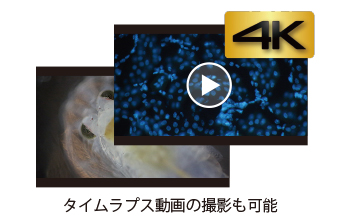 ビデオカメラいらず　長時間動画可能　4K画質