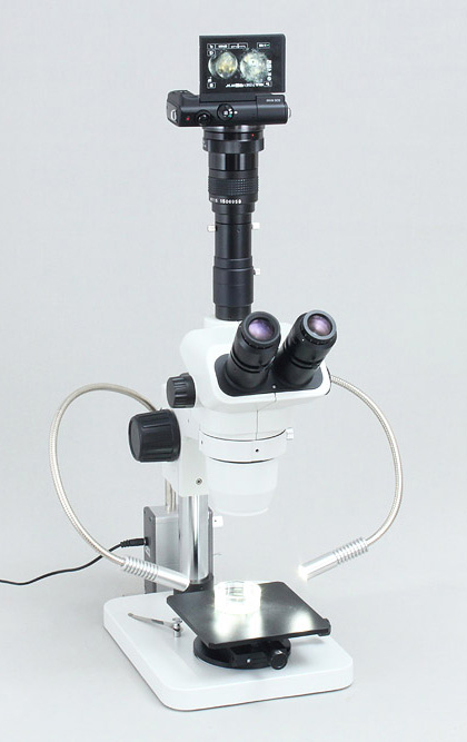 ミラーレス一眼 Canon EOS M200 顕微鏡用アダプターセット