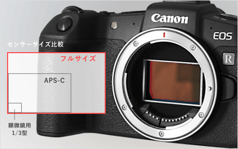 Canon EOS RP 顕微鏡撮影用ミラーレス一眼・カメラアダプター付セット 