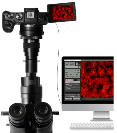 顕微鏡撮影用 35mmフルサイズ ミラーレスカメラ Canon EOS RP セット