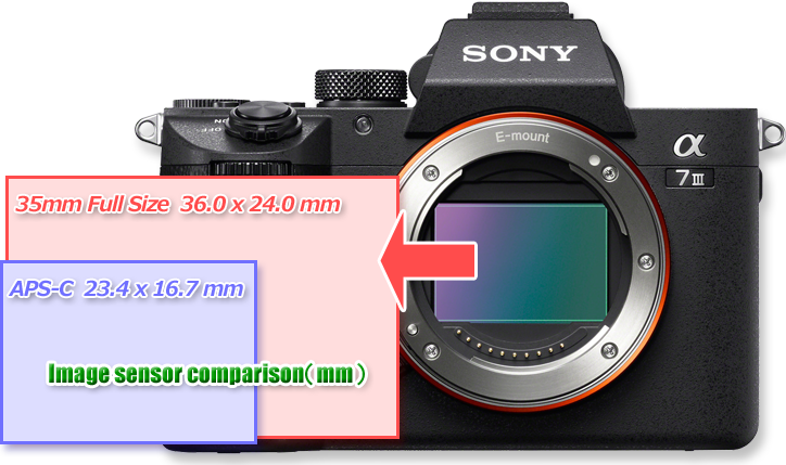 35mm　フルサイズセンサー　Sony a7�V