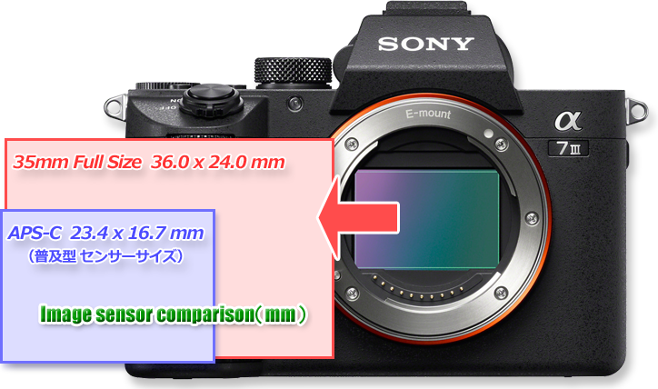 顕微鏡 35mmフルサイズカメラアダプターSony α7Ⅲ SET | 技術 顕微鏡 35mmフルサイズカメラアダプターSony α7Ⅲ SET | 技術