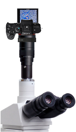 Sonyα7�U 顕微鏡用　35mmフルサイズ　ミラーレスカメラアセット