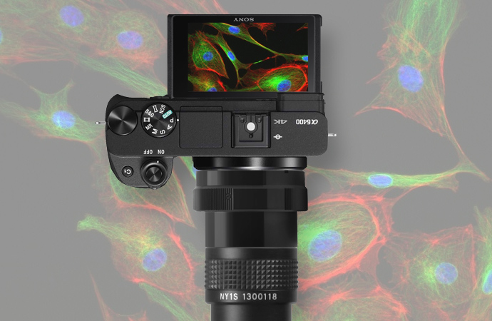 顕微鏡用ミラーレス一眼アダプター SONY α6300 SET | 技術通販 美舘 