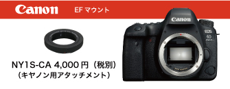 Canon@EF}Eg@NY1S-CA@摜