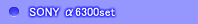 ~[X\j[ 6300 pZbg