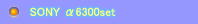 ~[X\j[ 6300 pZbg