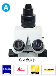顕微鏡　Cのマウント部
