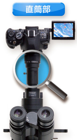 カメラアダプター・顕微鏡の三眼鏡筒への取り付け