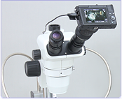 ミラーレス一眼 EOSM100 顕微鏡用セット
