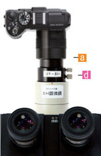 コンパクトデジタルカメラ、オリンパス顕微鏡写真直筒BH鏡筒への接続・取りつけ