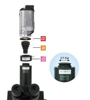 オリンパス顕微鏡 三眼PT鏡筒U-SPTへの接続　HDデジタルハイビジョンカメラ