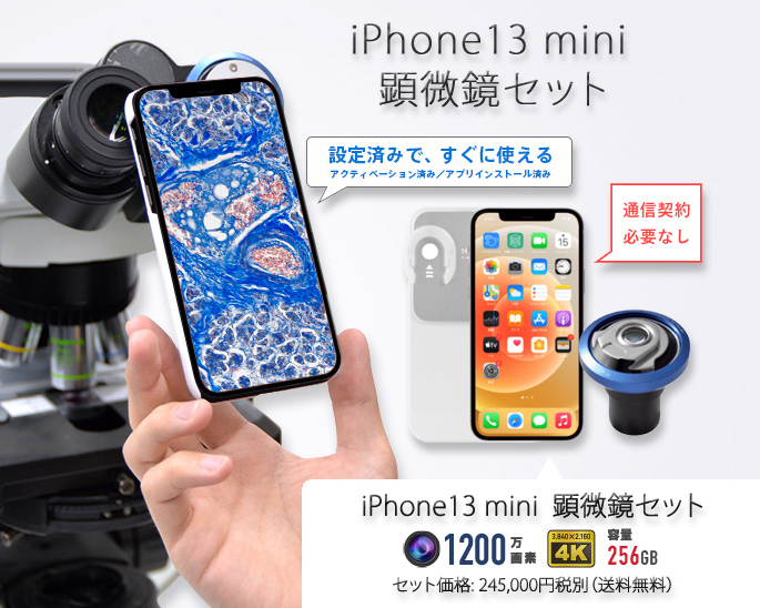 iPhone13mini 顕微鏡撮影アダプター