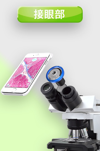 スマホカメラ・顕微鏡取り付け撮影方法 | 技術通販 美舘イメージング