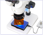 蛍光励起　実体顕微鏡用LED透過照明