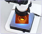 実体顕微鏡用高照度LED透過照明装置