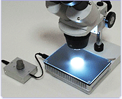 実体顕微鏡用LED透過照明装置　高輝度