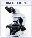 生物顕微鏡　CX43LF CX43-31-PH　三眼　位相差