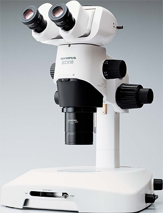 オリンパス　SZX16　顕微鏡撮影　市販カメラ取り付け