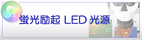 励起蛍光LED光源