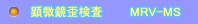 実体顕微鏡 偏光歪検査装置